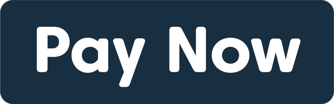 260320-pay-now-logo-blue-white-1432px